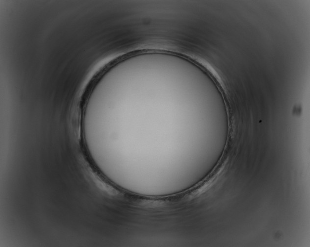 X0000101961123200807180656