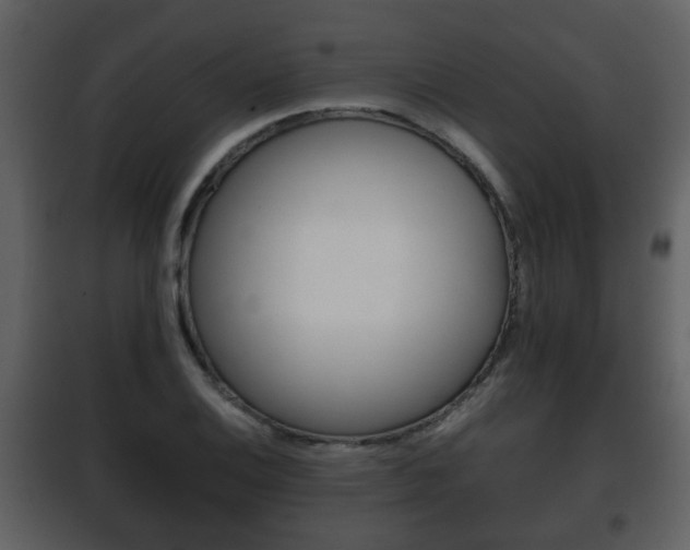 X0000101961124200807180656