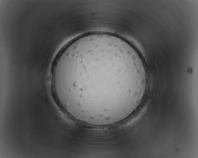 X0000101961125200807180656