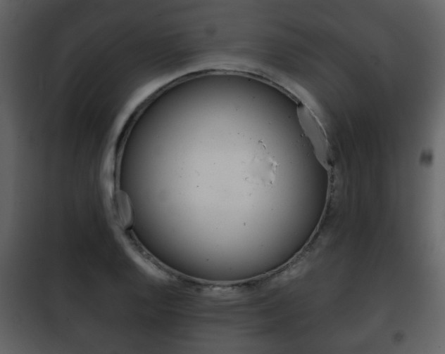 X0000101961128200807180656