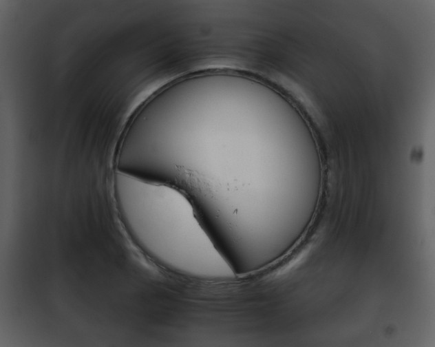 X0000101961129200807180656