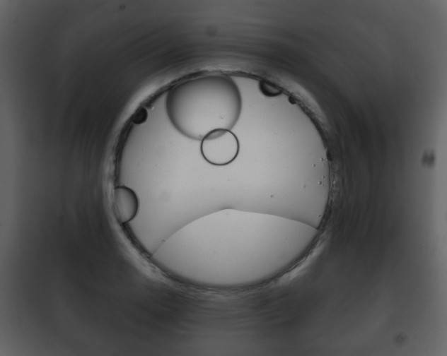 X0000101961130200807180656