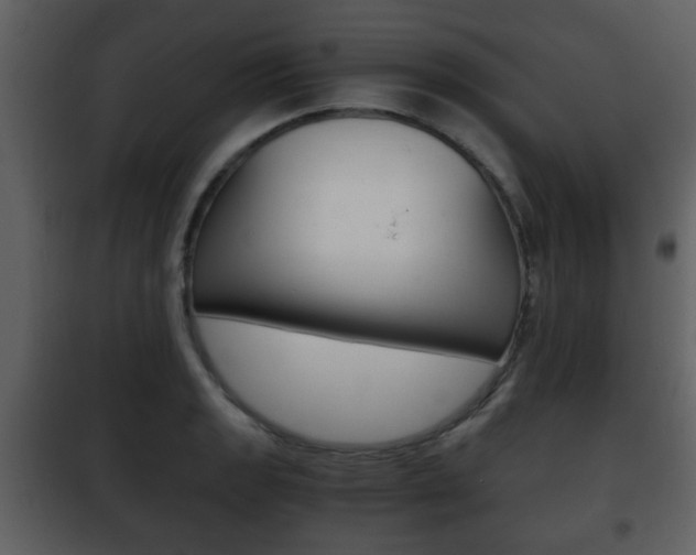 X0000101961133200807180656