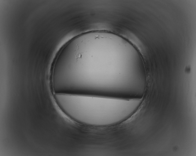 X0000101961135200807180656