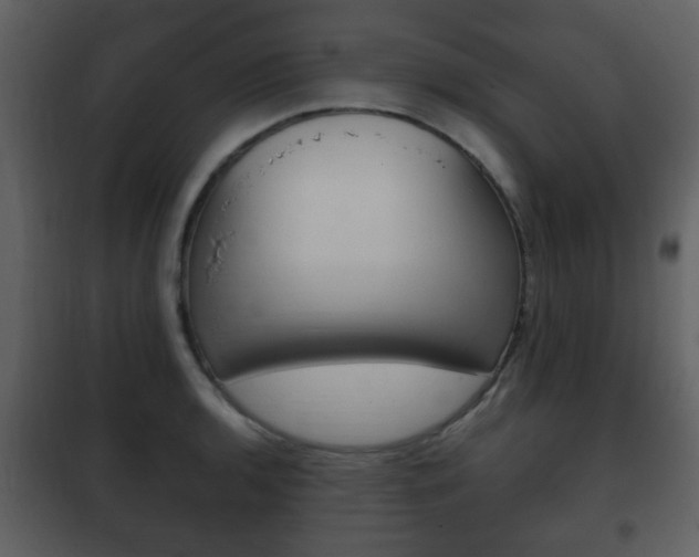 X0000101961136200807180656