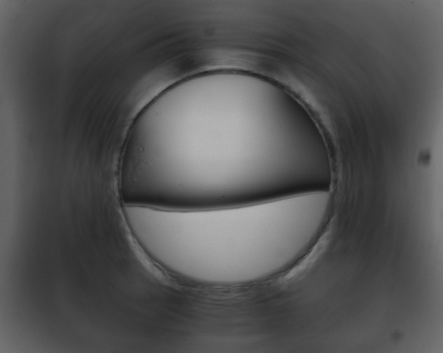 X0000101961137200807180656