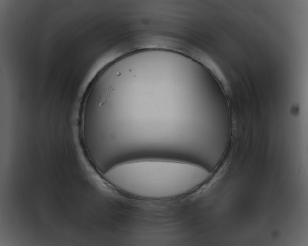 X0000101961138200807180656