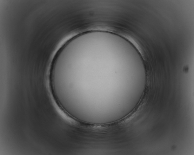 X0000101961139200807180656
