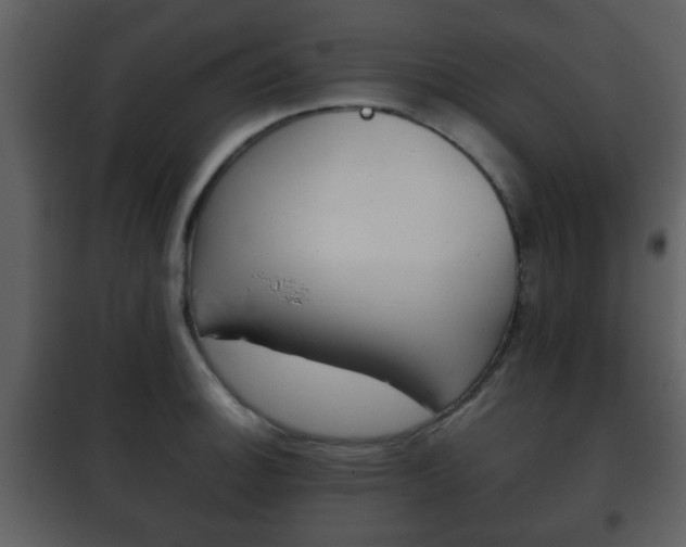 X0000101961140200807180656