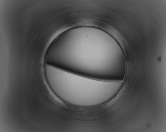 X0000101961141200807180656