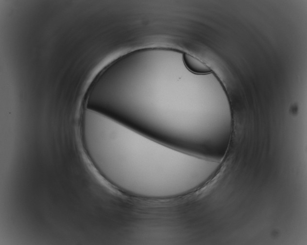 X0000101961142200807180656