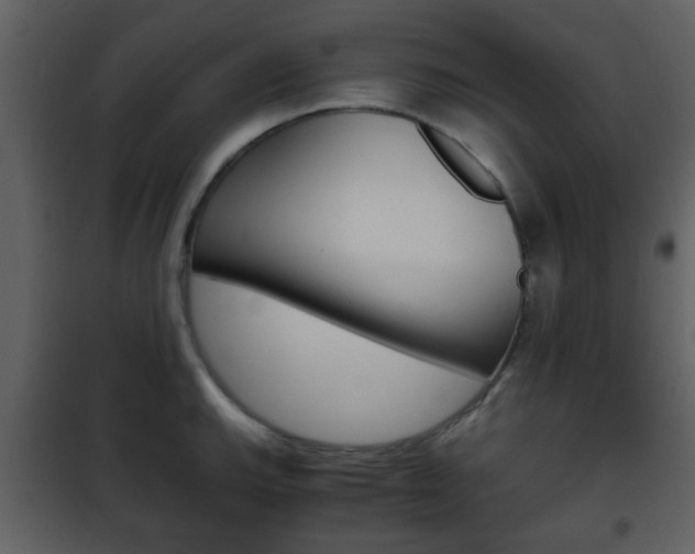 X0000101961143200807180656