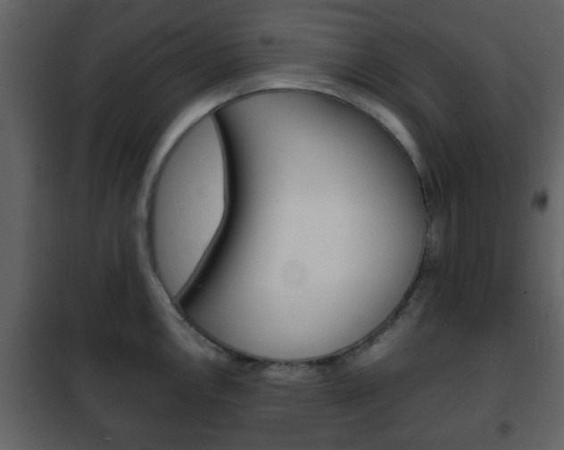 X0000101961146200807180656