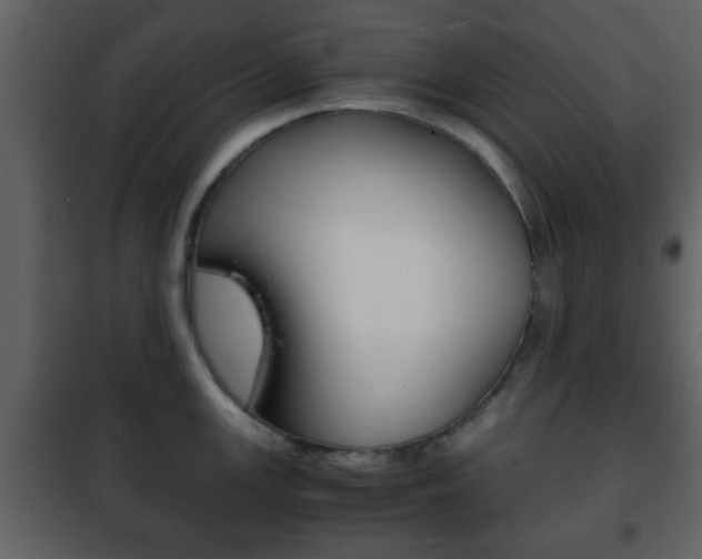 X0000101961147200807180656