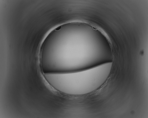 X0000101961148200807180656