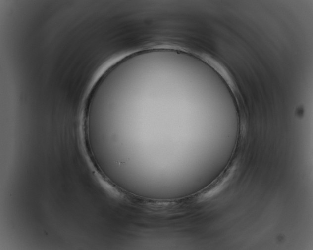 X0000101961149200807180656