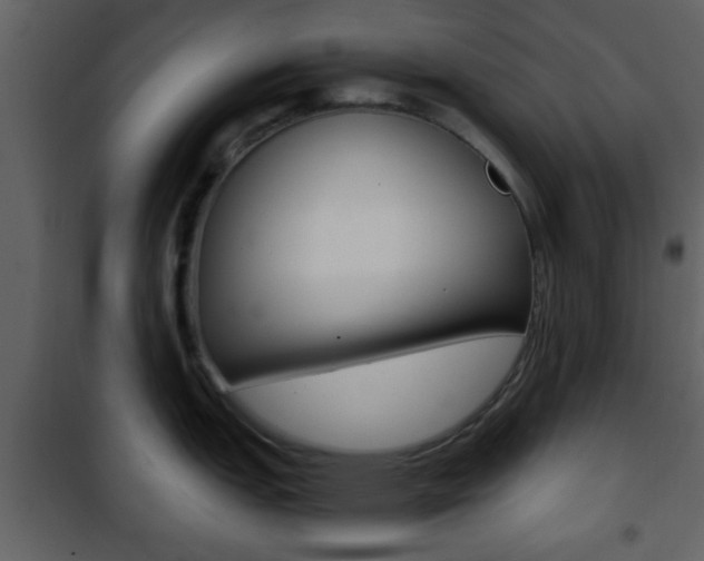 X0000101961151200807180656