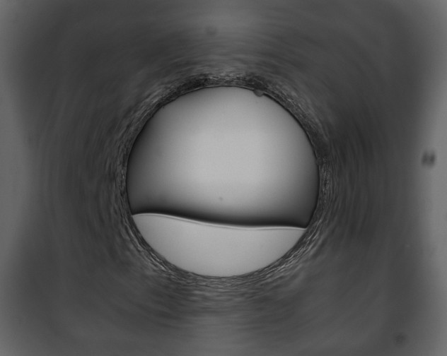 X0000101961153200807180655