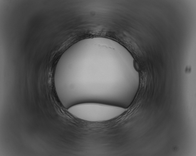 X0000101961154200807180655