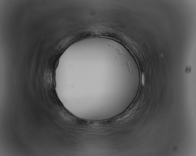 X0000101961155200807180655