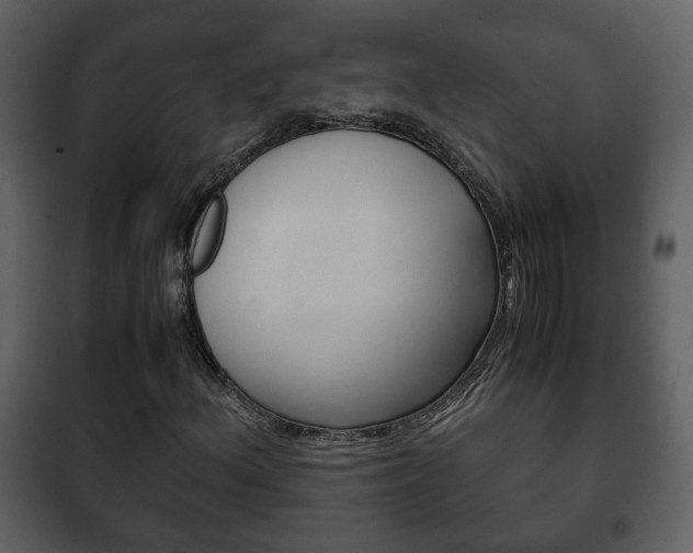 X0000101961156200807180655