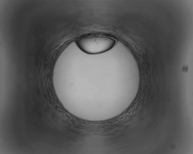 X0000101961157200807180655
