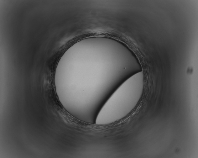X0000101961158200807180655