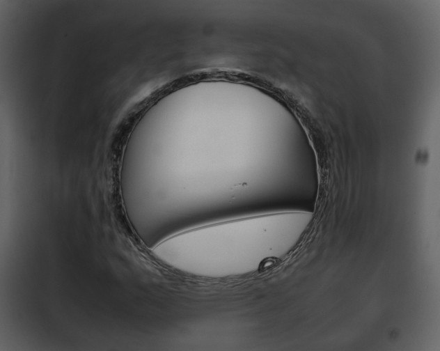X0000101961159200807180655
