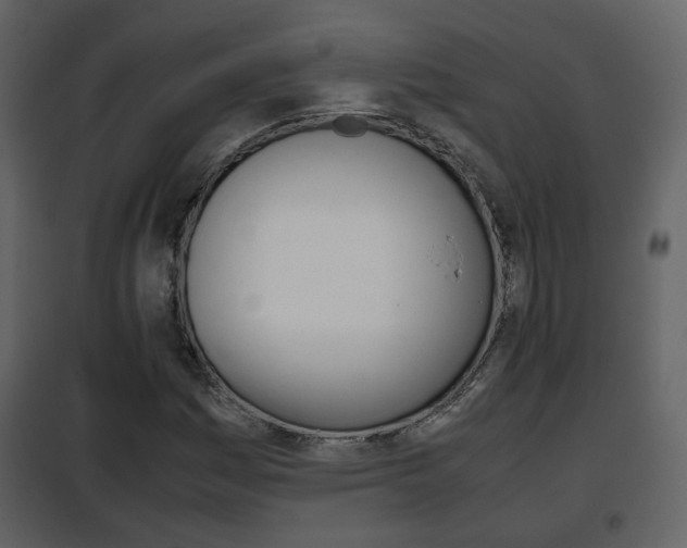 X0000101961161200807180655