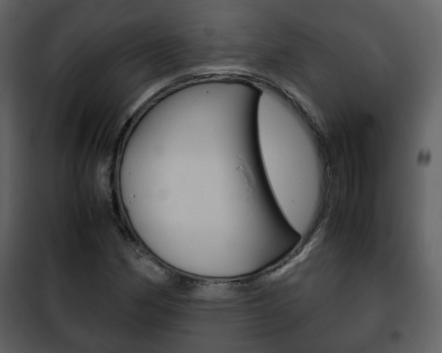 X0000101961162200807180655