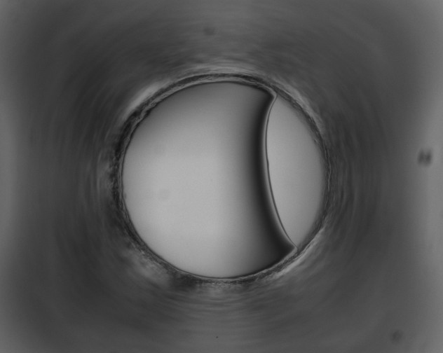 X0000101961163200807180655