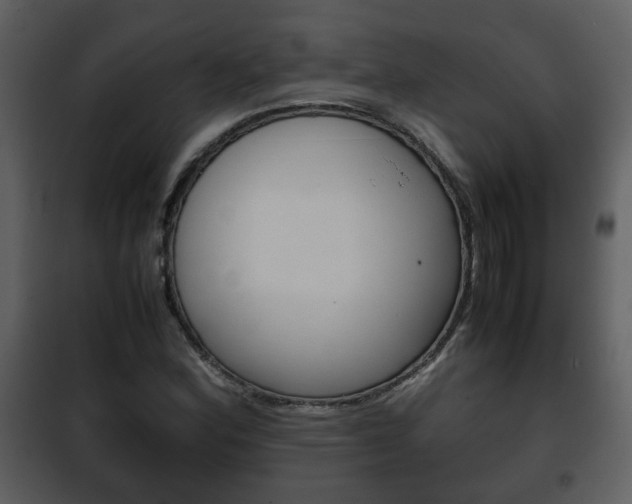 X0000101961164200807180655