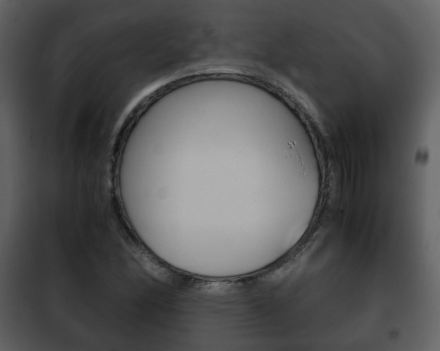 X0000101961166200807180655