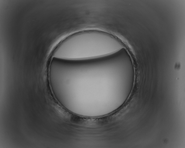 X0000101961167200807180655