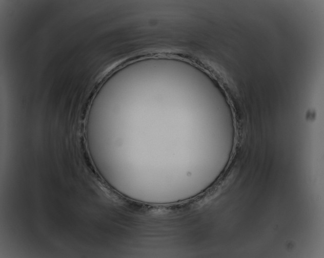 X0000101961169200807180655