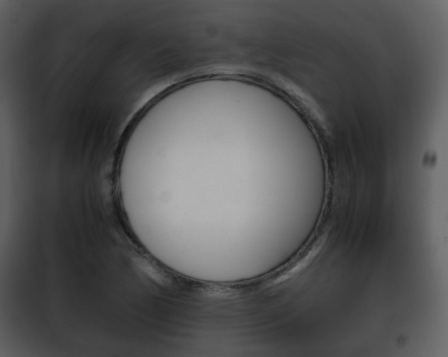 X0000101961170200807180655