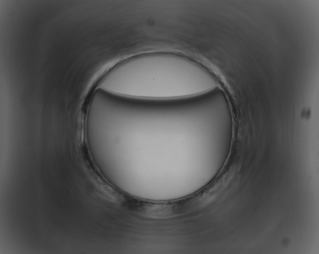 X0000101961171200807180655