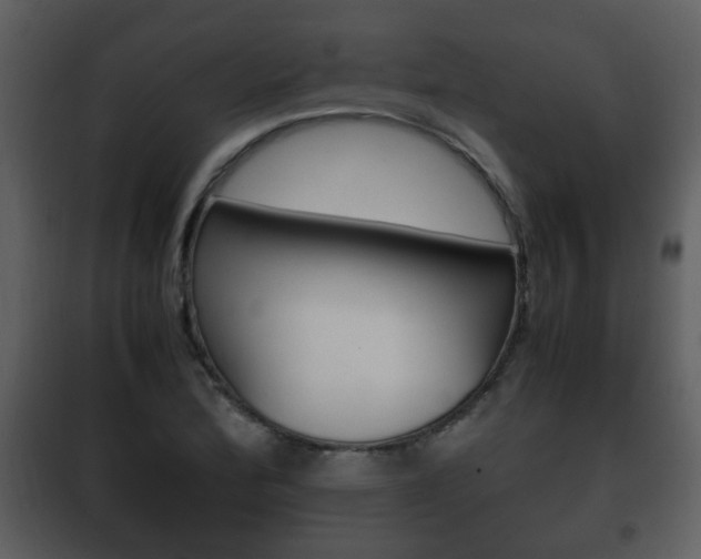 X0000101961172200807180655