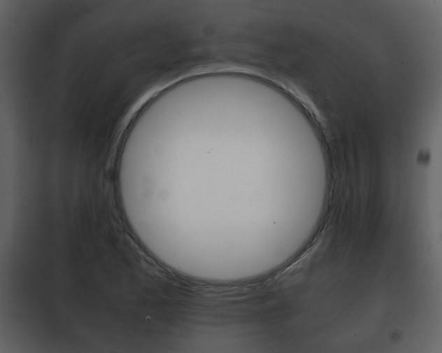 X0000101961173200807180655