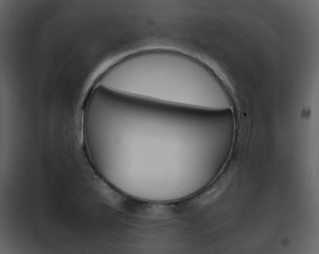 X0000101961175200807180655