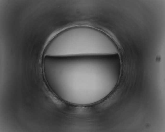 X0000101961176200807180655