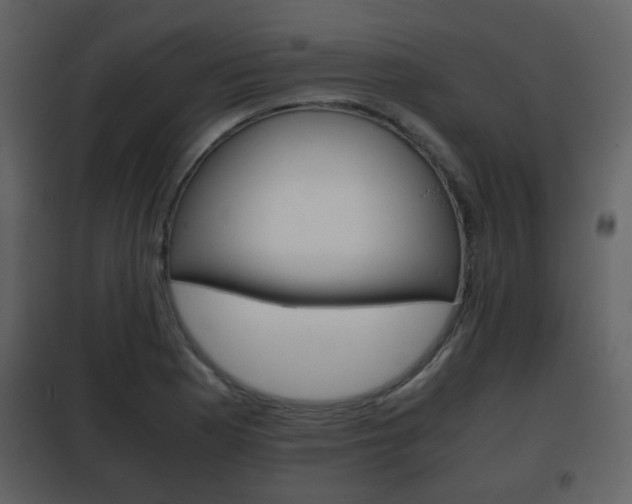 X0000101961177200807180655