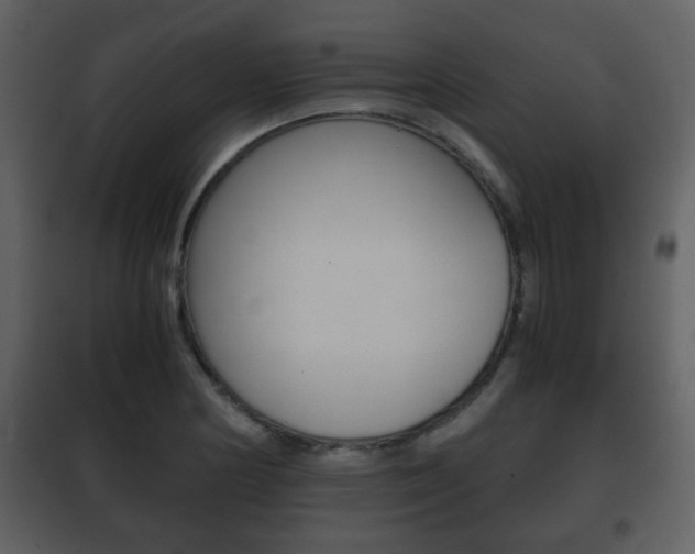 X0000101961178200807180655