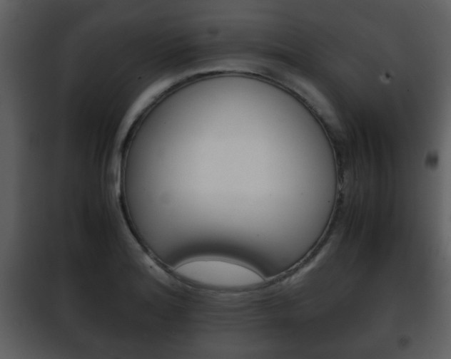 X0000101961180200807180655