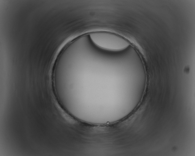 X0000101961181200807180655