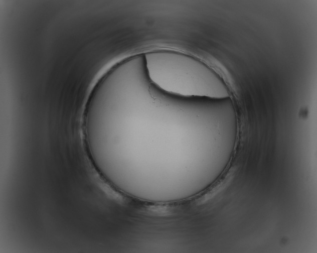 X0000101961182200807180655