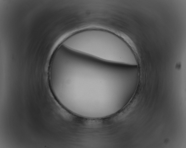 X0000101961183200807180655