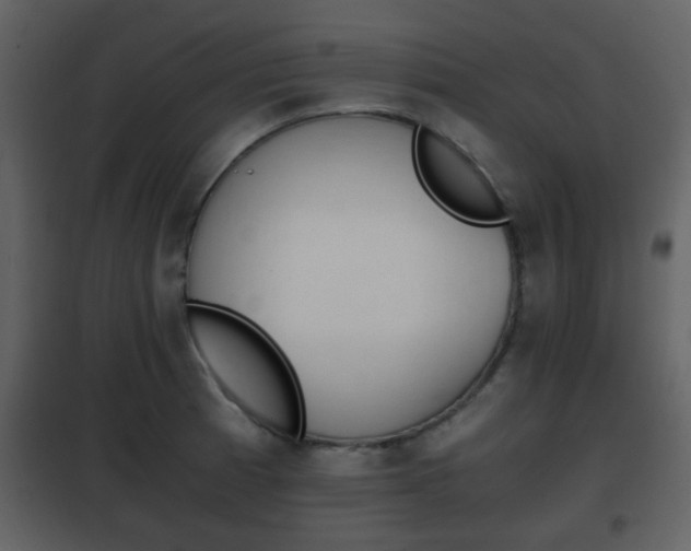 X0000101961185200807180655