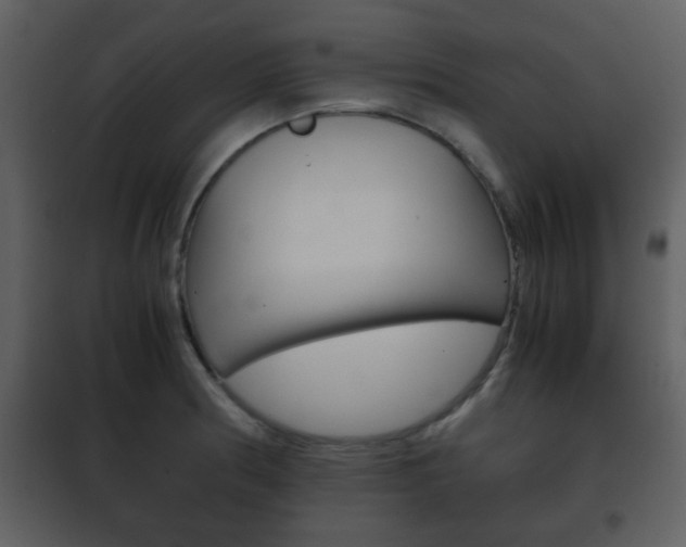 X0000101961186200807180655