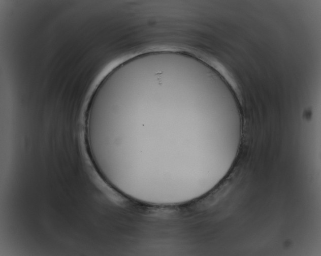 X0000101961187200807180655